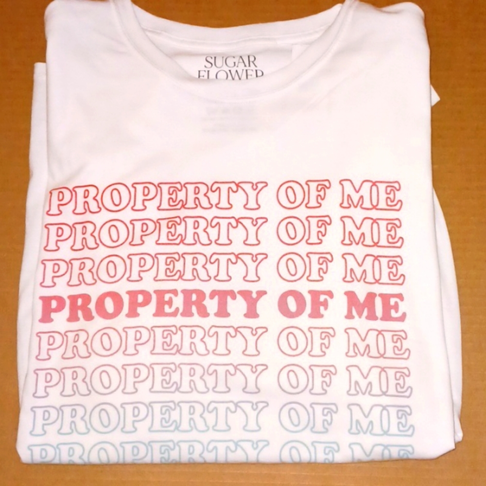 Women's Rights short sleeve tee shirt. XL "Property of me" Ptp 22.5"